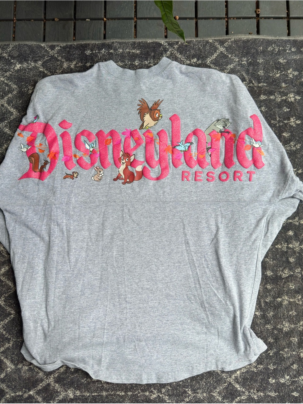Disney friends and critters Gray spirit jersey Tee